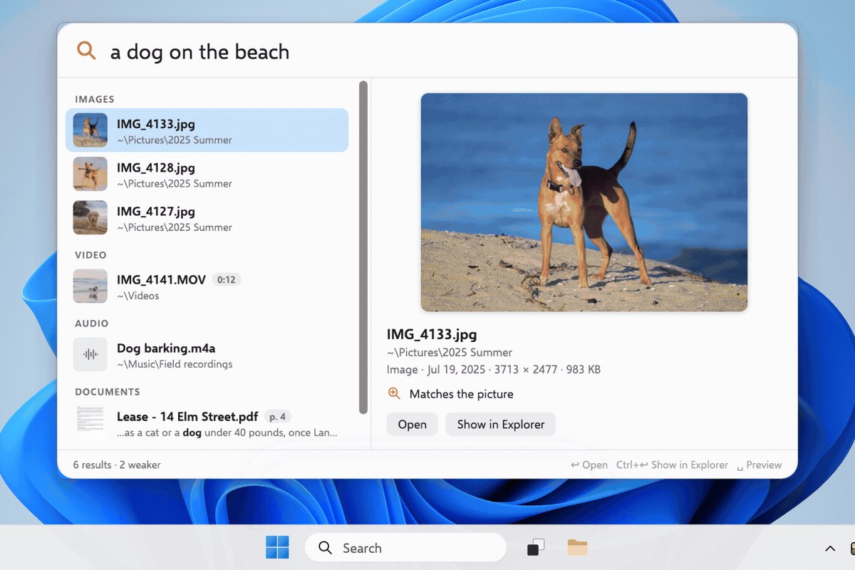Capture de DigUp : la recherche « a dog on the beach » renvoie des photos, une vidéo, un son et une page de bail